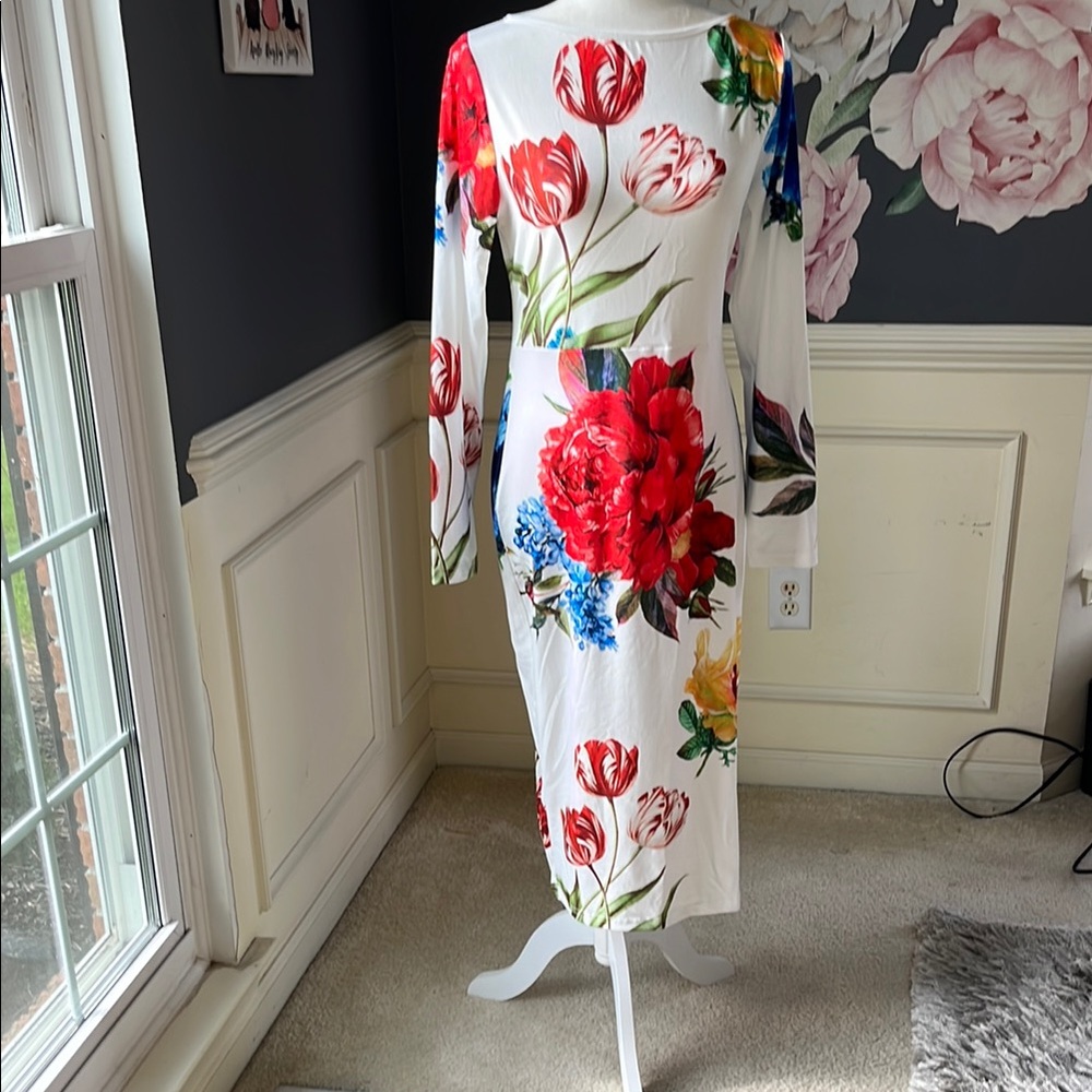 Floral Print Long Sleeve Dress